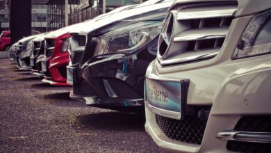 Fleet Management Software