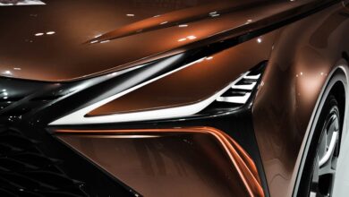 Luxury Car Paint Protection